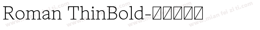 Roman ThinBold字体转换